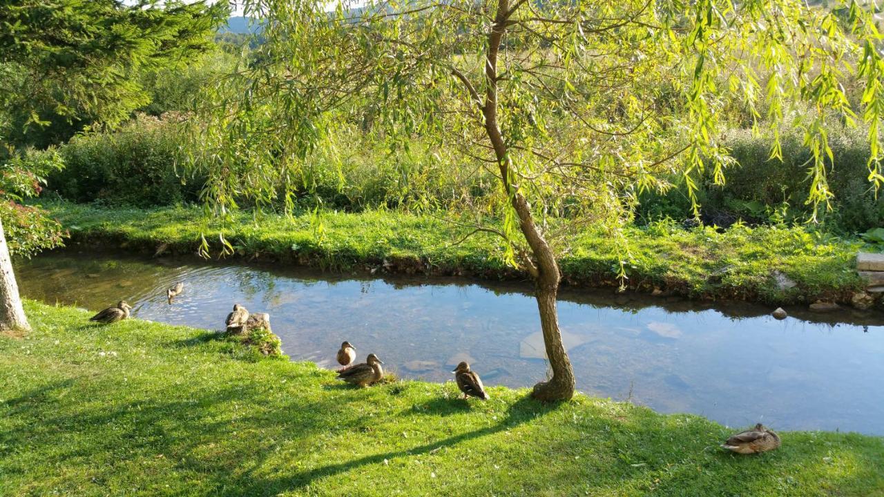 Prijeboj Rustic Inn River المظهر الخارجي الصورة